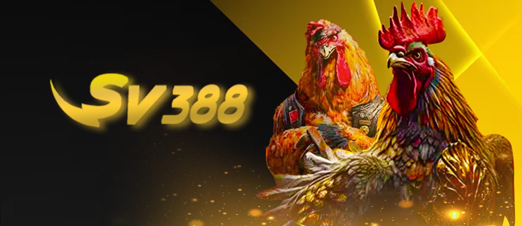 cockfighting-sv388